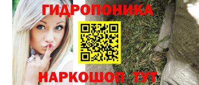 ECSTASY Заводоуковск
