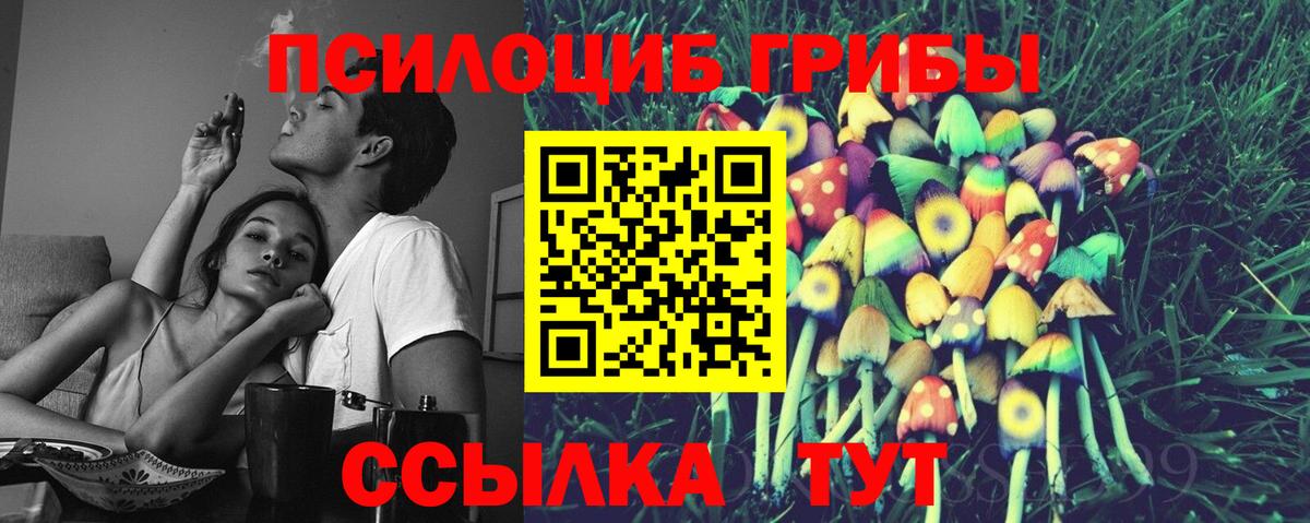 Галлюциногенные грибы мухоморы  Вход с VPN  Малоярославец  Галлюциногенные грибы мицелий 